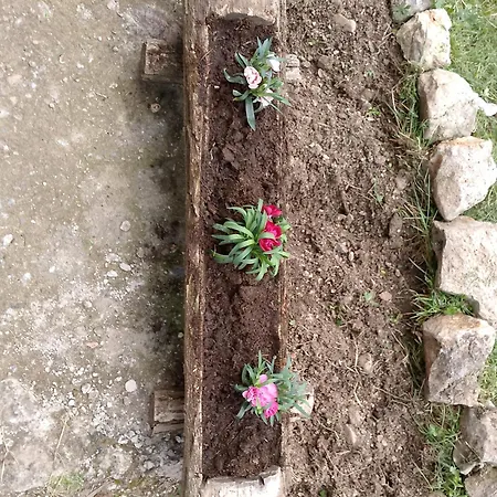 Accommodatie bij particulieren Seoska Idila