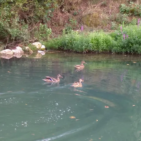 Seoska Idila Accommodatie bij particulieren Bela Palanka