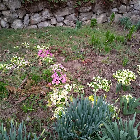 Seoska Idila Accommodatie bij particulieren *