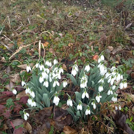 Seoska Idila Accommodatie bij particulieren *